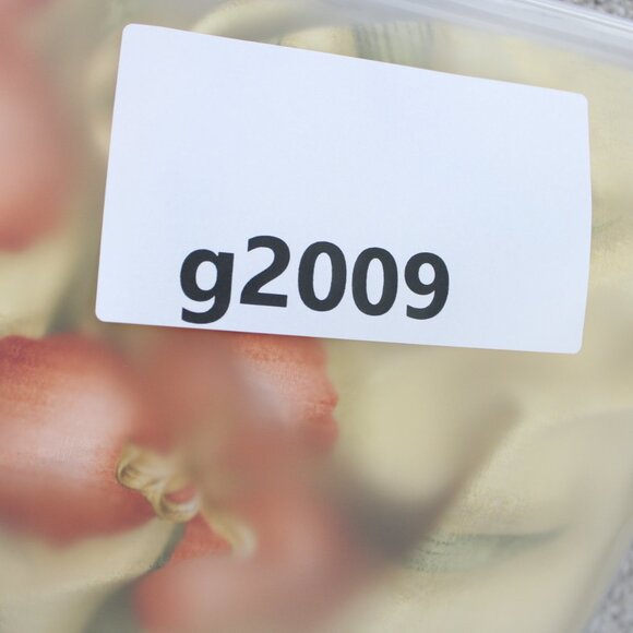 Tommy Bahama Camp Shirt Adult XL Loop Collar Yellow Floral Silk S/S Button Up - Picture 12 of 12